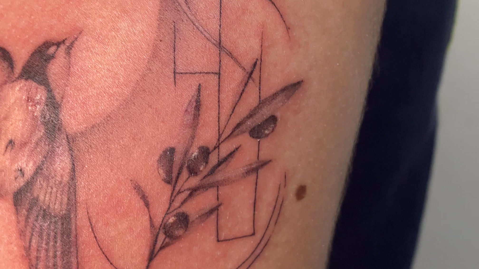 Black & Grey Swallow Tattoo | Geometric Fine Line Tattoo | White Sloth Tattoo Costa Rica